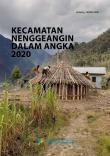 Kecamatan Nenggeangin  Dalam Angka 2020