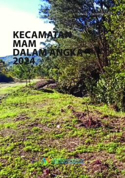 Kecamatan Mam Dalam Angka 2024