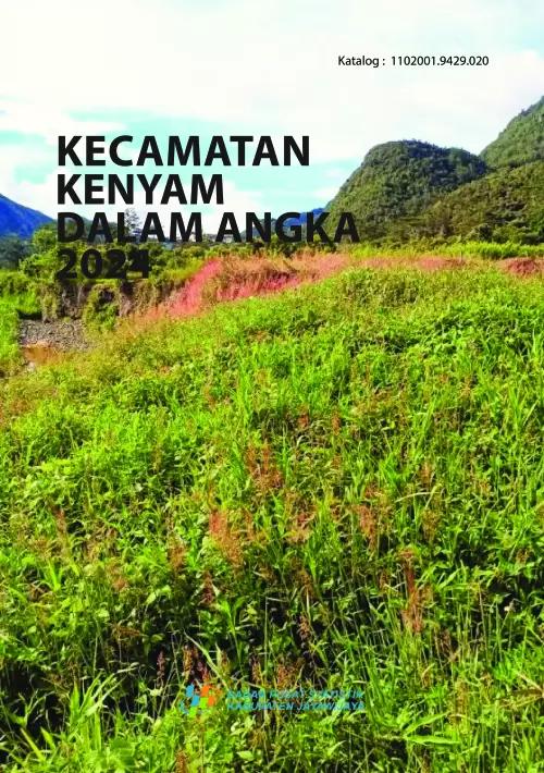 Kecamatan Kenyam Dalam Angka 2024